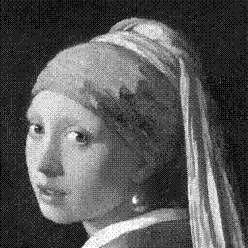 Test image "Girl with a Pearl Earring" with back and white palette, quantized in the sRGB color space using Bayer 8x8 dithering