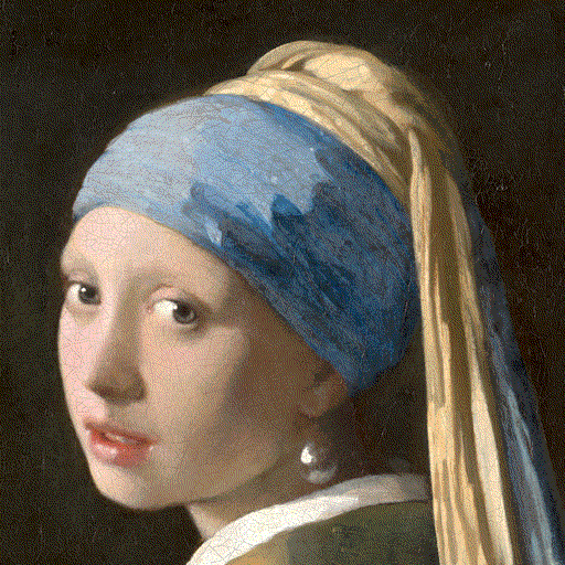 Test image "Girl with a Pearl Earring" with system default 8 BPP palette, quantized in the sRGB color space using Floyd-Steinberg dithering